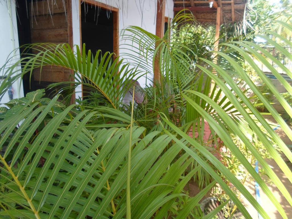 Surf & Sand Hotel Arugambay Arugam Bay Exterior photo